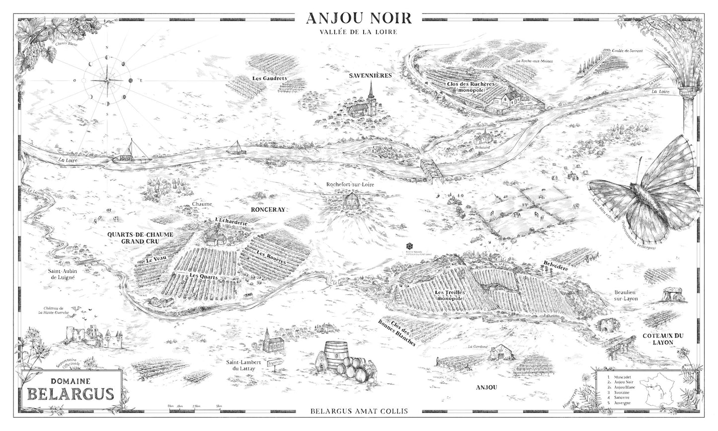 Anjou Noir, Domaine Belargus